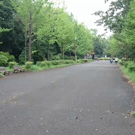 9月21日 100mBグループ②の画像