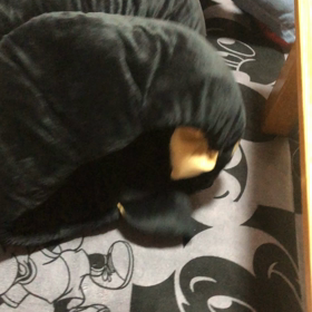 祭日ですがの画像