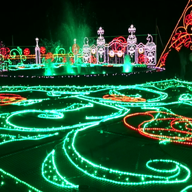 プレジャーフォレスト(*^^*)！の画像