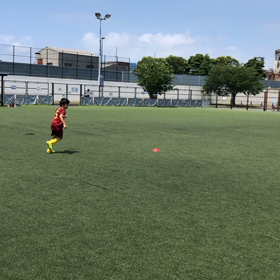 トレーニング内容の画像