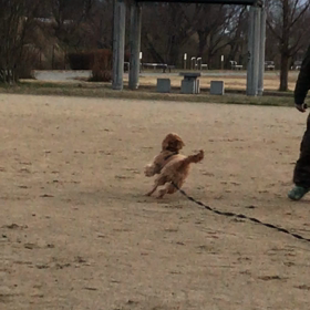 久しぶりの総合公園の画像