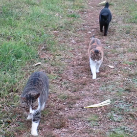 久しぶりの再会の画像