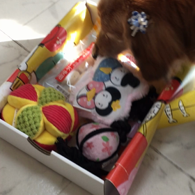 本当どうでもいいのだけどの画像