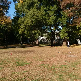 ジャベリック記録会⑮の画像