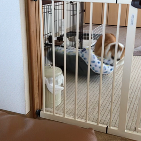 遊んでよーの画像