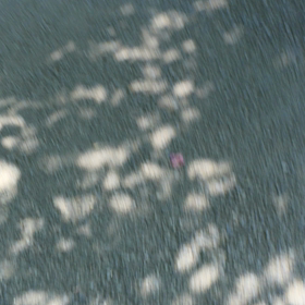 ７７＄の巻の画像