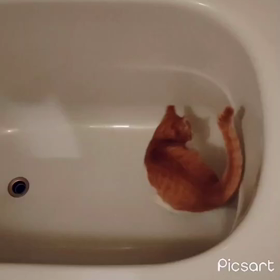 可愛すぎての画像