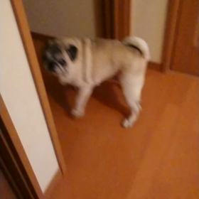 鬼ごっこの画像