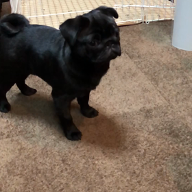 同じ地球に。。。の画像