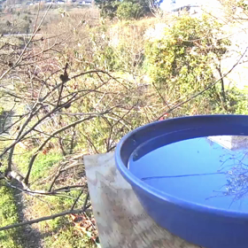 すぎぴたんの事件簿シーズン3　143話（気を抜けない水浴び）の画像