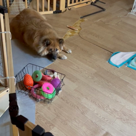 とにかく眠すぎるの画像