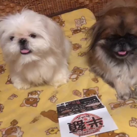 遊んで見たの画像