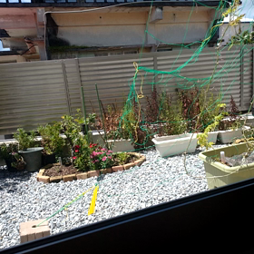 ゴロゴロ〜の画像