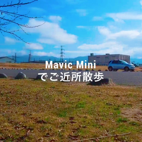 Mavic Mini空中散歩の画像