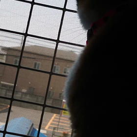 調子にのって(笑)の画像