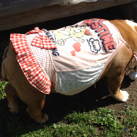 雨上がりの画像