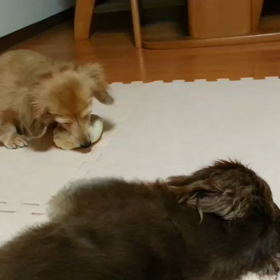 みるくとれもん懐かしい動画発見♡の画像