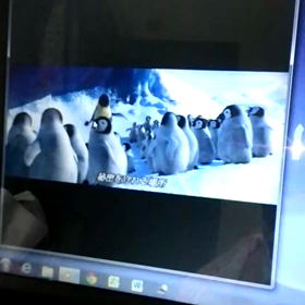 ペンギンさんの画像