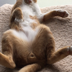 ▶︎リラックスの画像