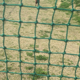 ドッグランの画像