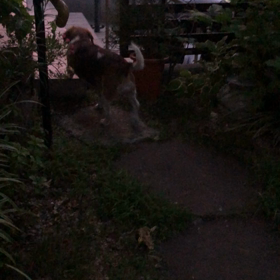 ハッピーごめん。の画像