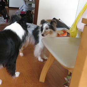 仲良く遊べの画像