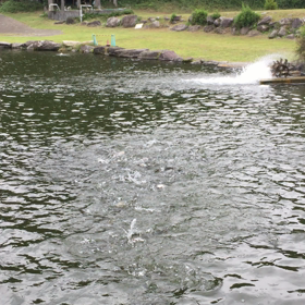ペレットタイム〜‼︎の画像