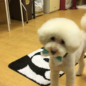 ソナ編。の画像