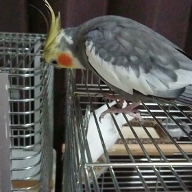 何か危ない気がするの画像