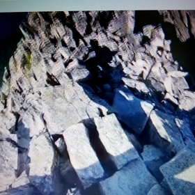 新型コロナ巣ごもり生活で得たものの画像