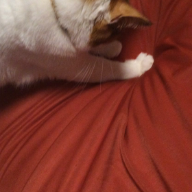 ソファーを掘るの画像