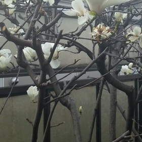 懐かしのプロフィール帳を書いてみたよ！の画像