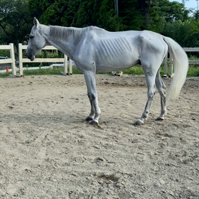 石像…？の画像