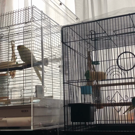 ピーピーやかんの画像