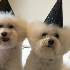 本日は。。。スライドショーだよ♪の画像