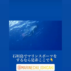 石垣島は梅雨明けした模様です！海人石垣島の画像