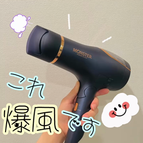 爆風ドライヤーの画像
