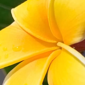 やっと！の画像