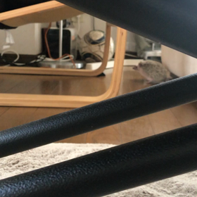 いつもの部屋んぽε=ε=ε=ε=ε=ε=╰(*´︶`*)╯の画像