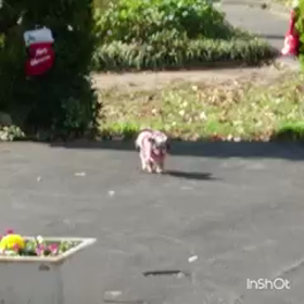 楽しい(´ω｀)♪の画像