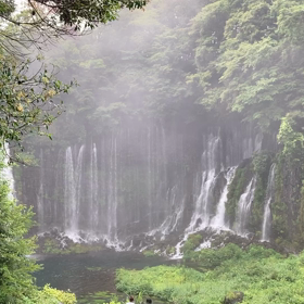 一人旅ではありません、、、、、の画像