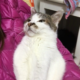 まったりの画像