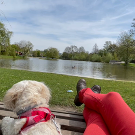 散歩道の途中での画像
