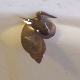 昼メダ活の画像