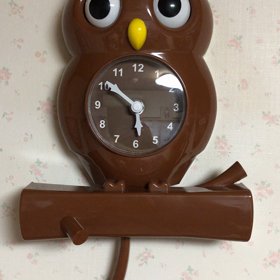 一目惚れして連れて帰ってきちゃいましたぁ(〃▽〃)♪の画像