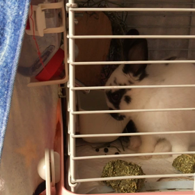 飲むねぇ～の画像