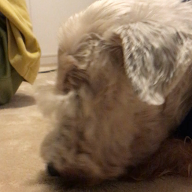 あのぉぉぉ？の画像