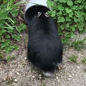 祝！通り抜け(≧∀≦)の画像