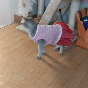 見て、親バカの画像