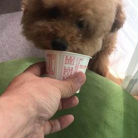 NO.2814（#ワンコ...）の画像